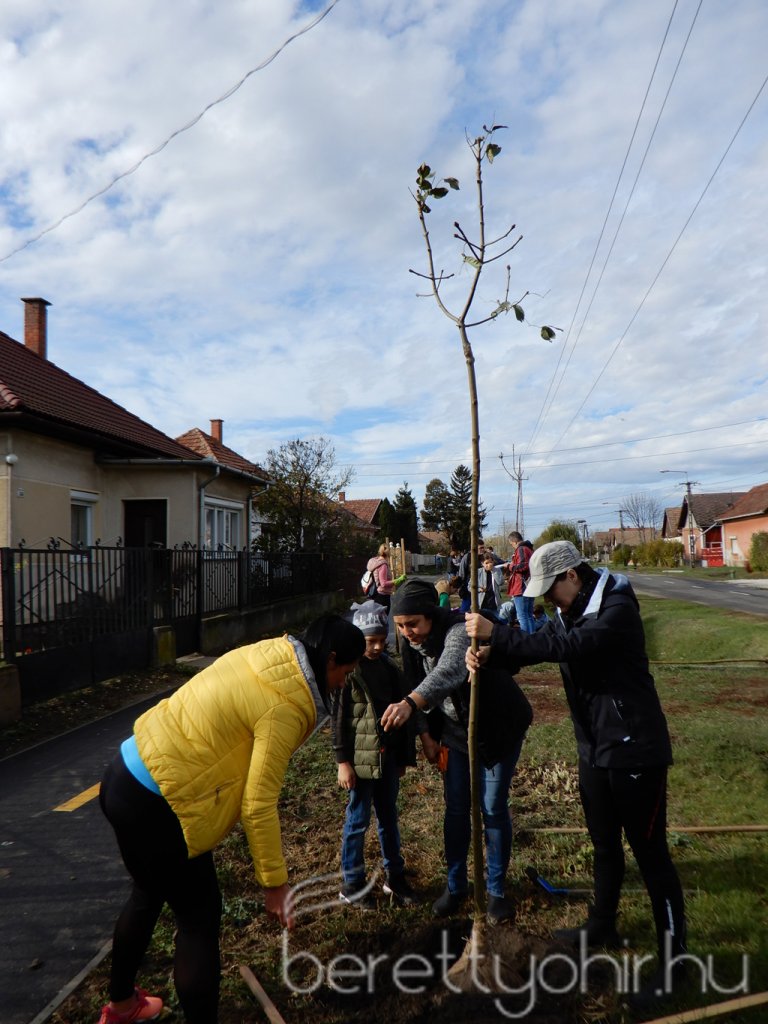 Közösségi faültetés Berettyóújfaluban 44